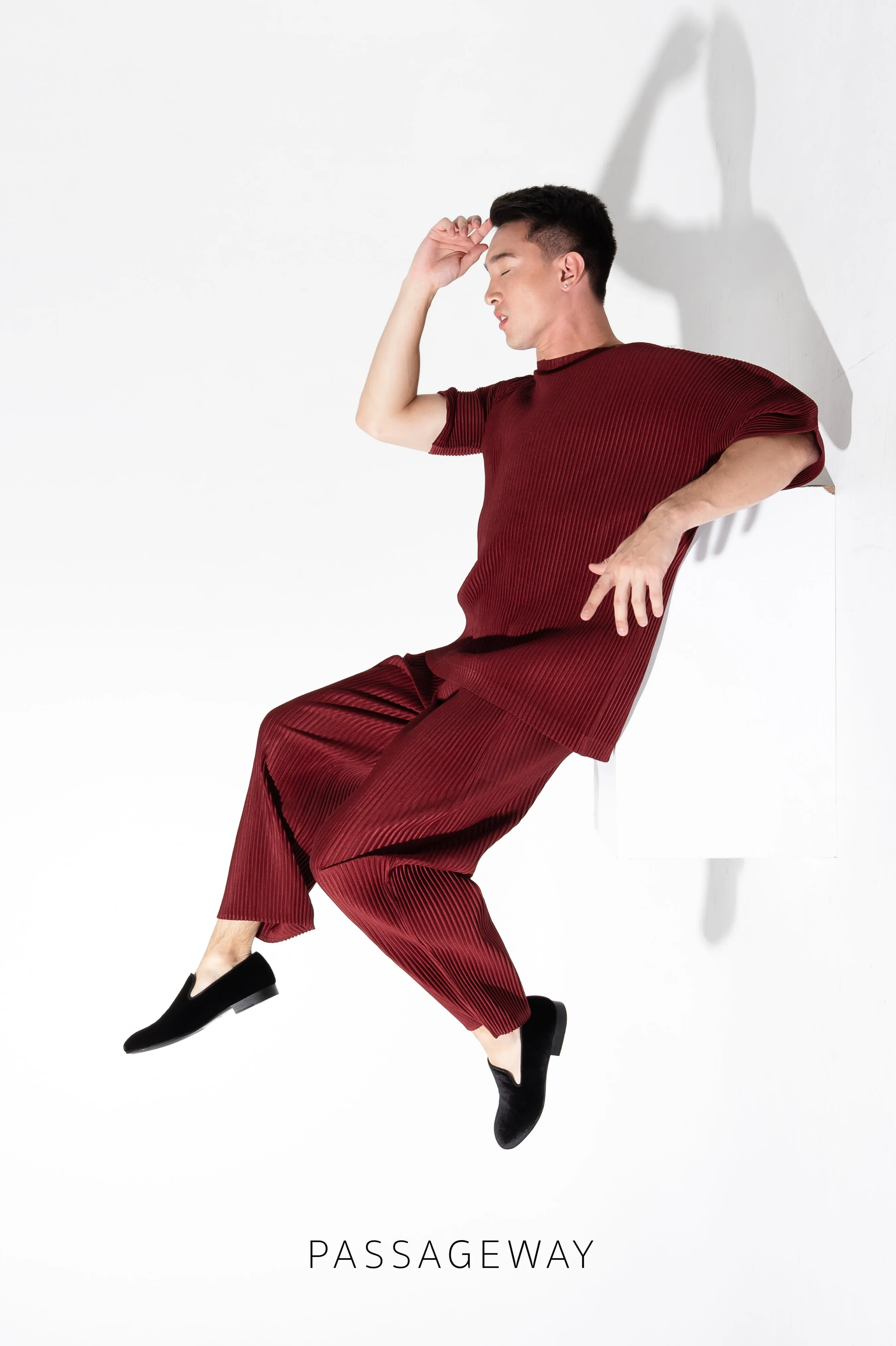 Pleated Trousers