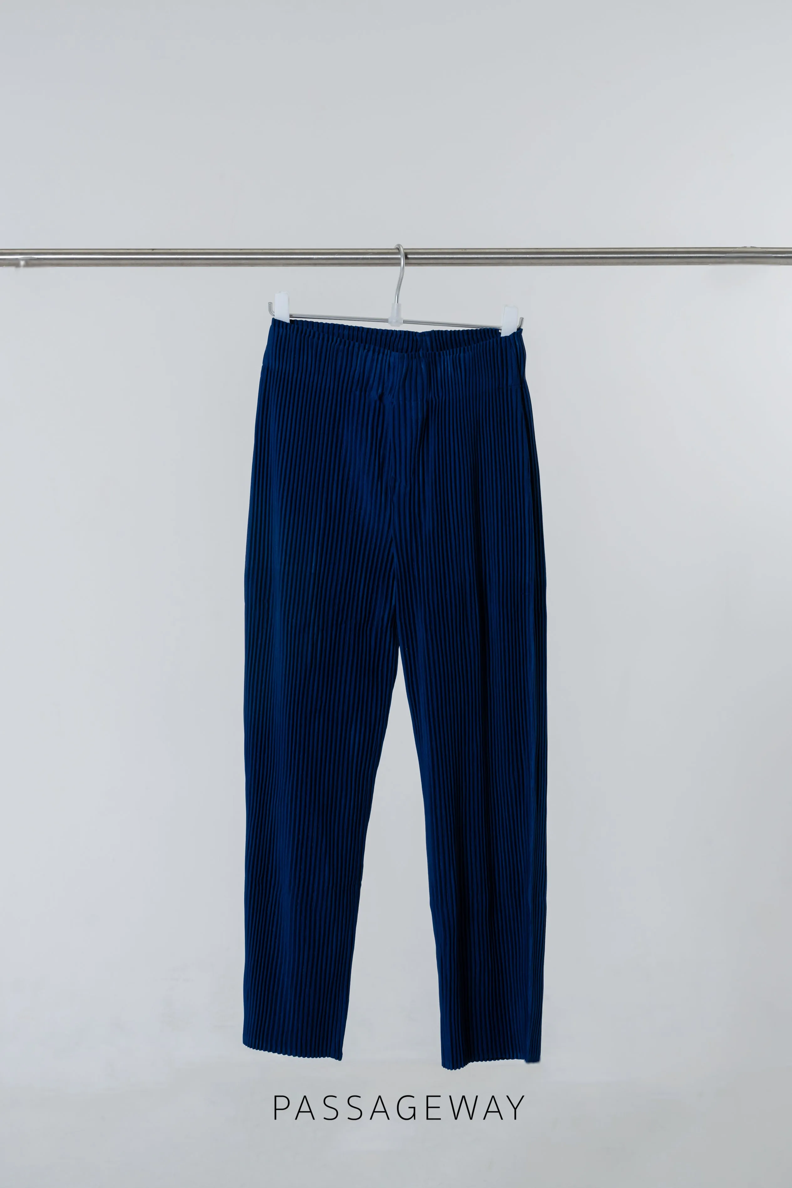 Pleated Trousers