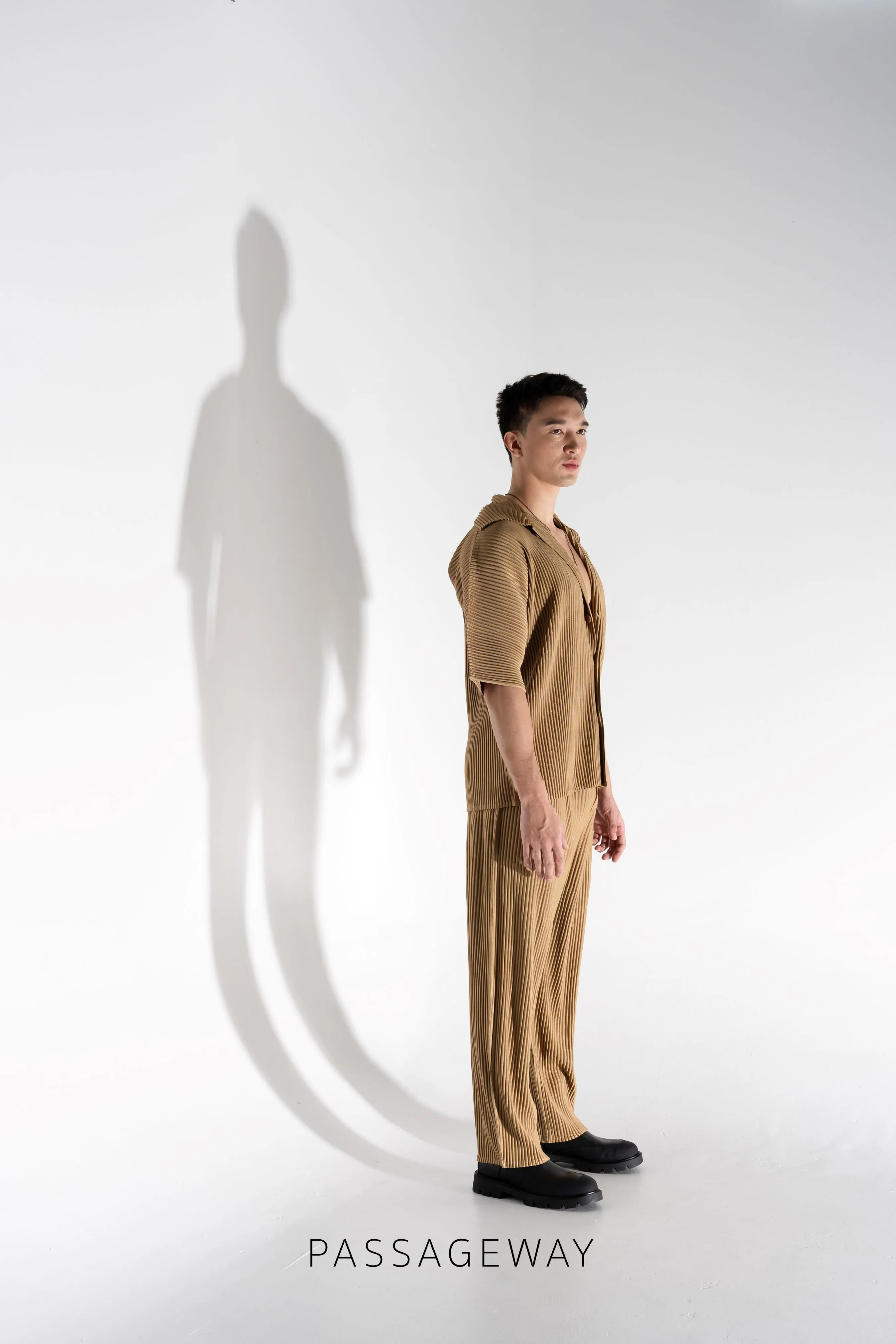 Pleated Trousers