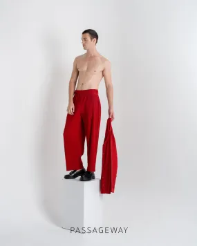 Pleated Trousers