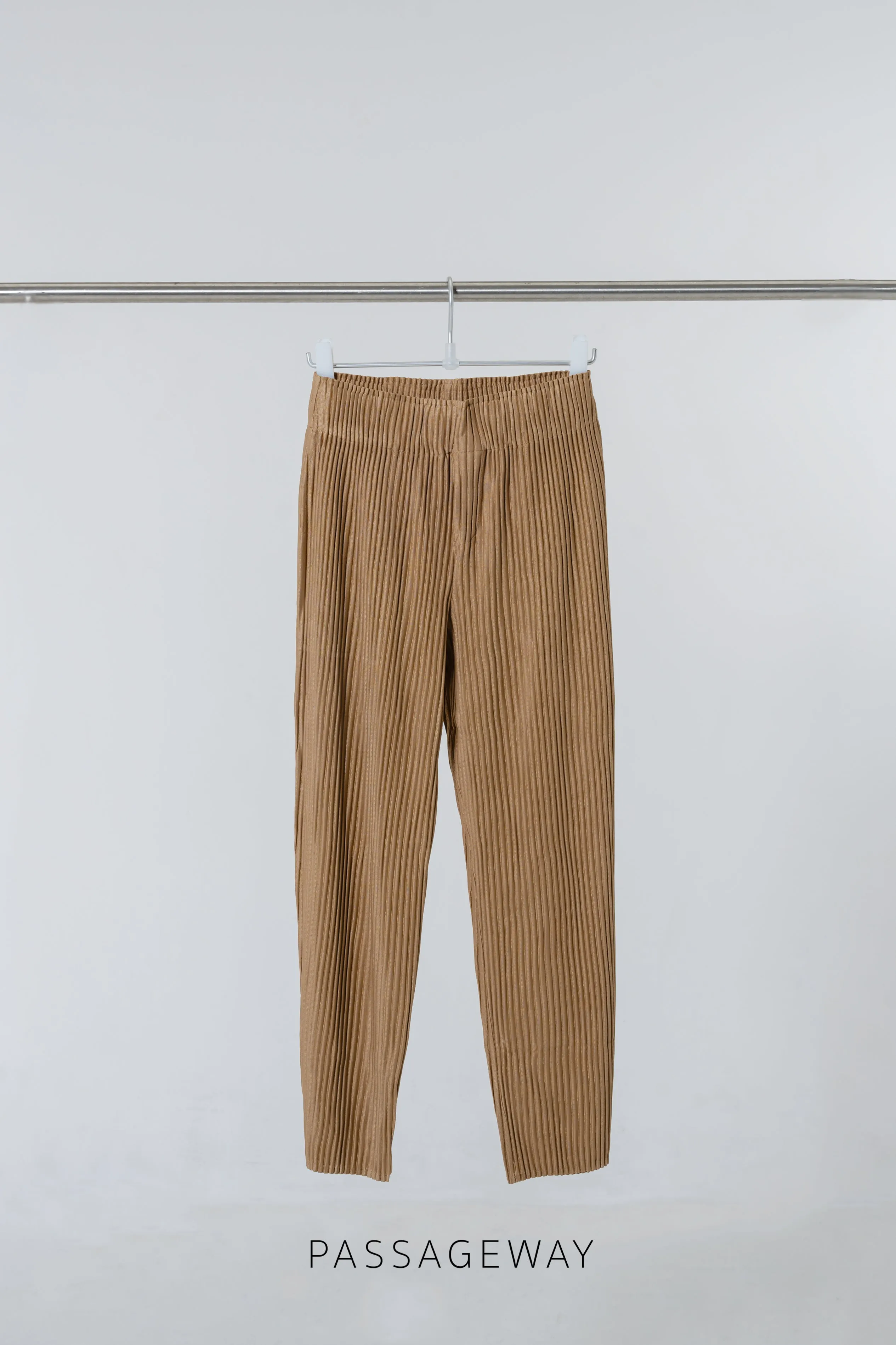 Pleated Trousers