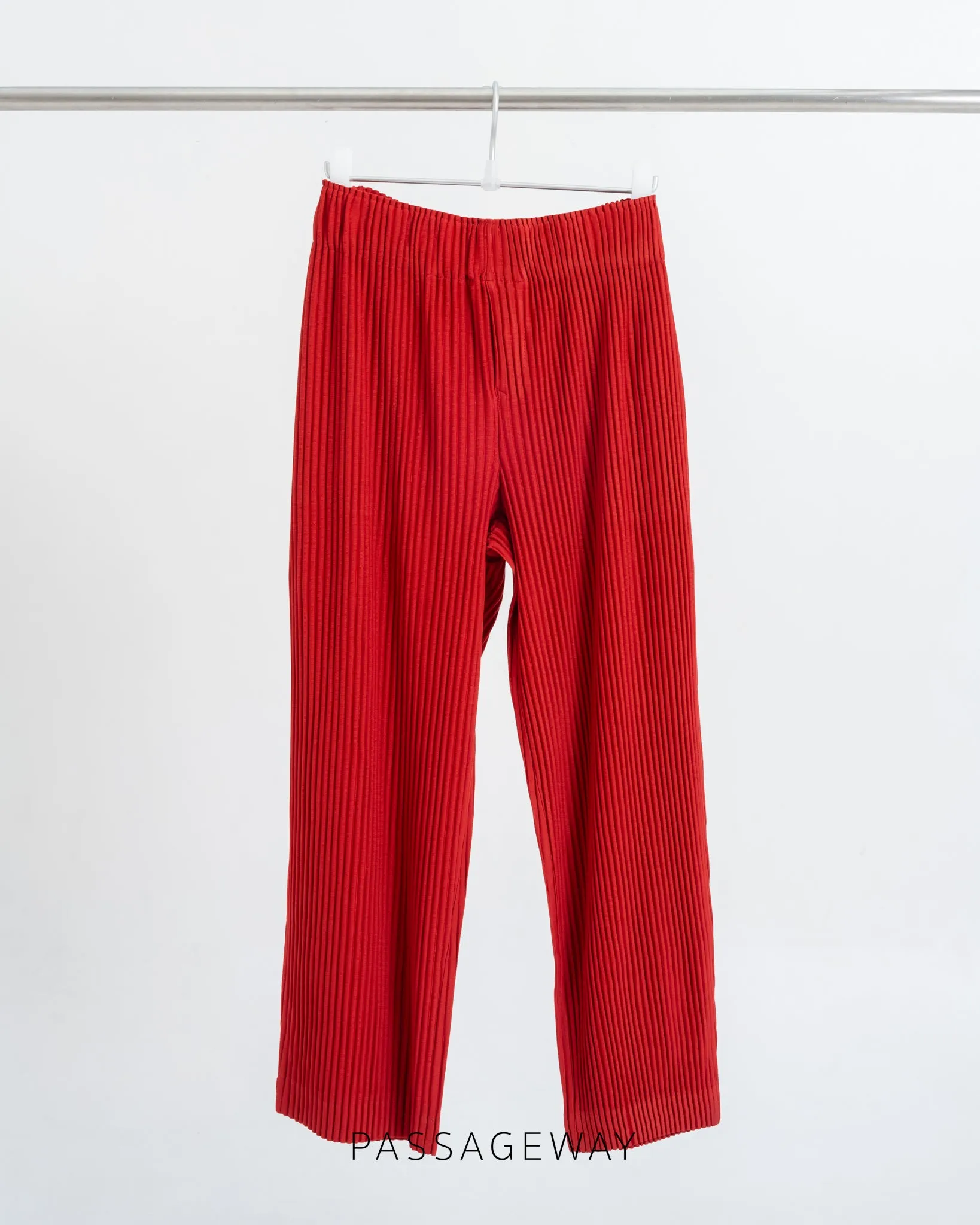 Pleated Trousers