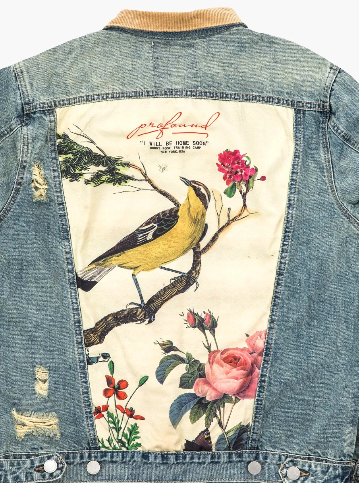 Song of Birds Vintage Denim Jacket