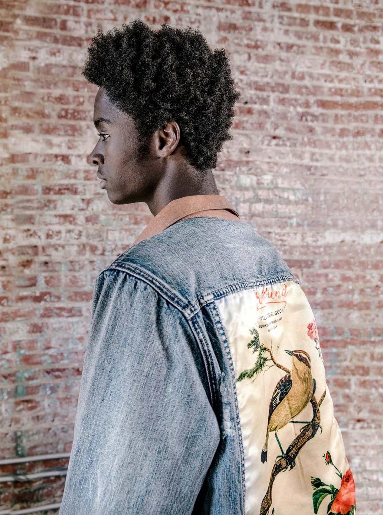 Song of Birds Vintage Denim Jacket