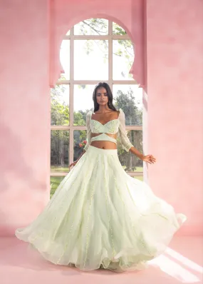 Yashika and Vanya Sage Green Hand-Embroidered Lehenga Set